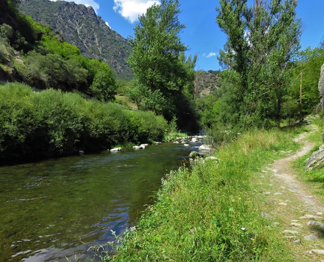 Riu Cardos aigües cristal·lines Pirineus